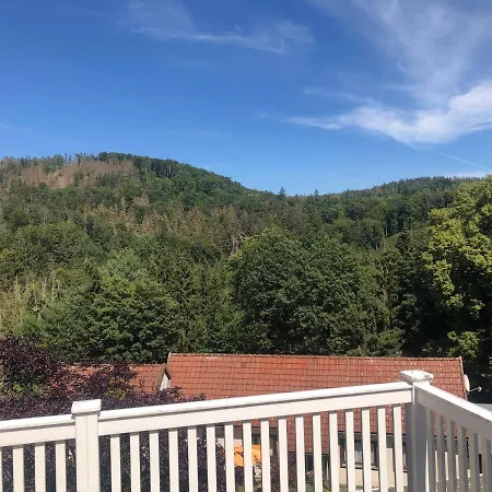 Ferienwohnung Katzenstein im Harz Bad Sachsa Exterior foto