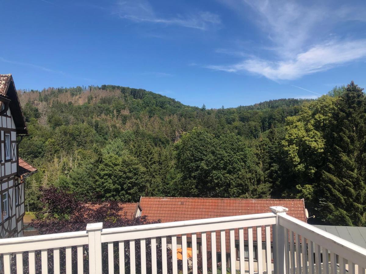 Katzenstein Im Harz * Bad Sachsa