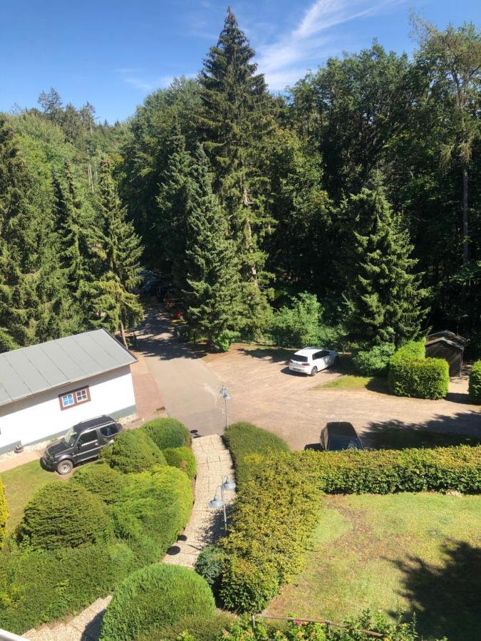 Katzenstein Im Harz Apartment Bad Sachsa