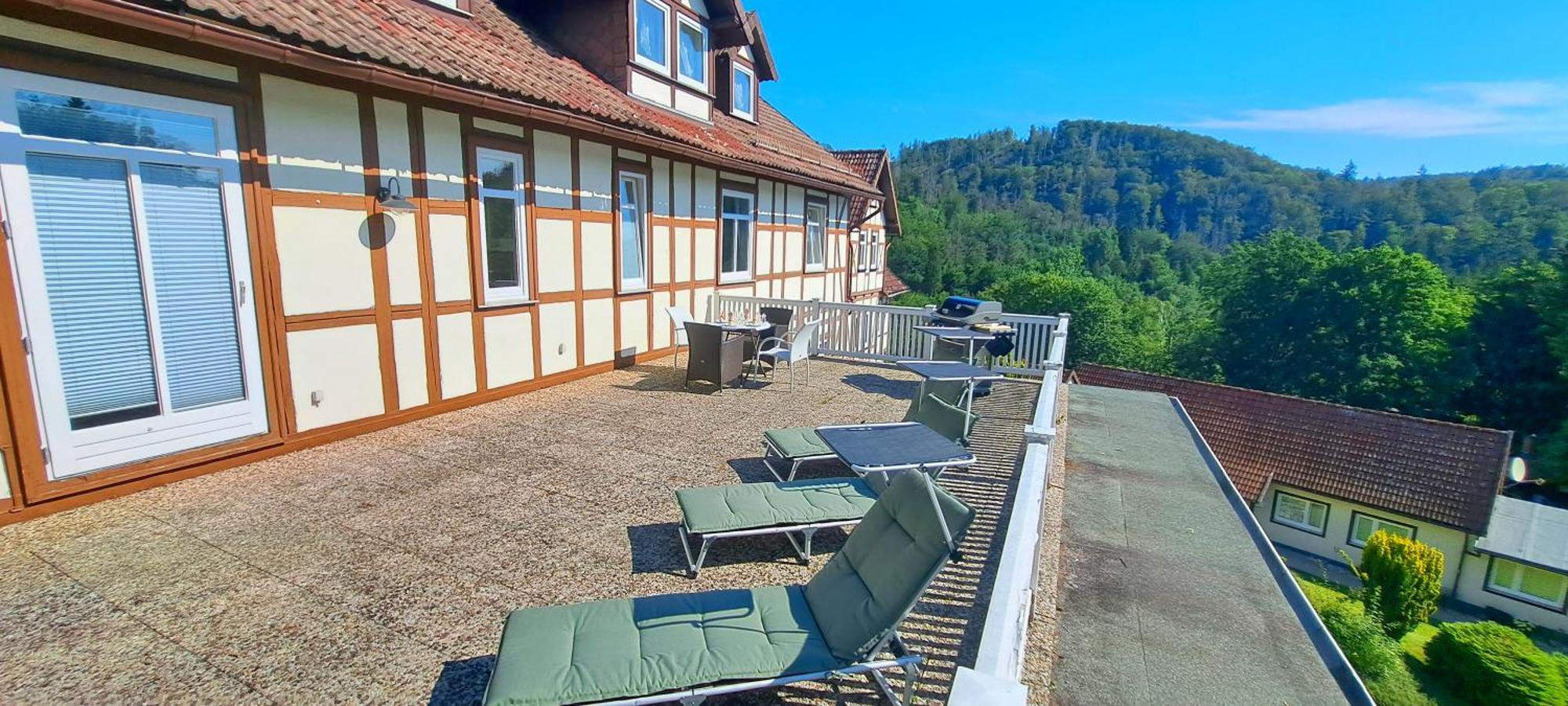 Katzenstein Im Harz *
